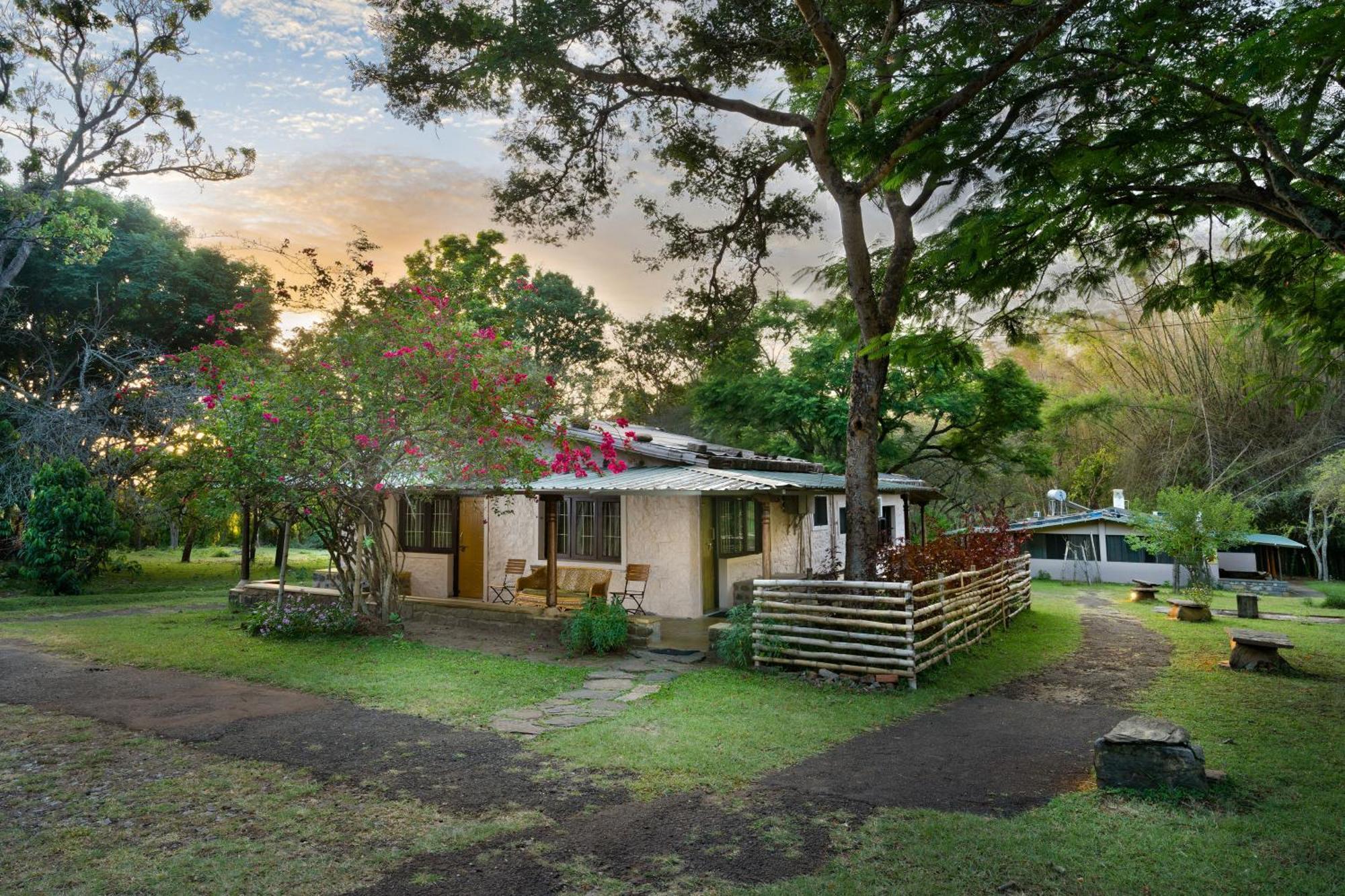 Hotel Jungle Hut Masinagudi Exteriér fotografie